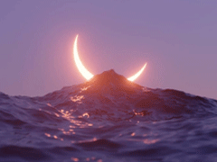 适合晒结婚证的有趣文案带图片 持证上岗未来共同富裕