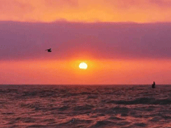 2021有关于日落的超级温柔的朋友圈文案 看日落发朋友圈的唯美说说