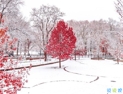 初雪表白文案打动人 适合告白的高级情话句子1