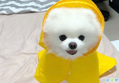 人生坎坷的心得与感悟句子 感慨人生不易的句子2