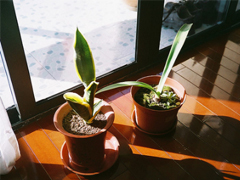 搞笑句子合集能笑死人的那种 2019朋友圈最吸引人的有趣句子