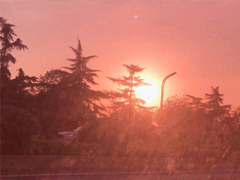 每日打卡说说正能量 最新打卡说说经典大全