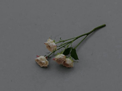 独一无二的朋友圈说说 很少见特别的句子